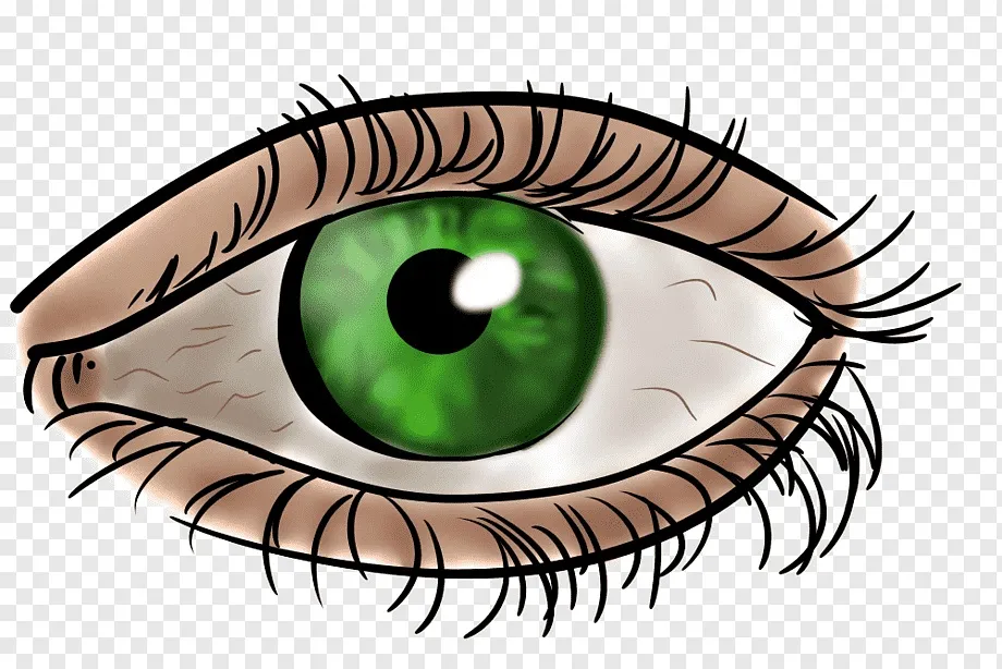 Visionmed : gdje kupiti u Hrvatskoj, u ljekarni?